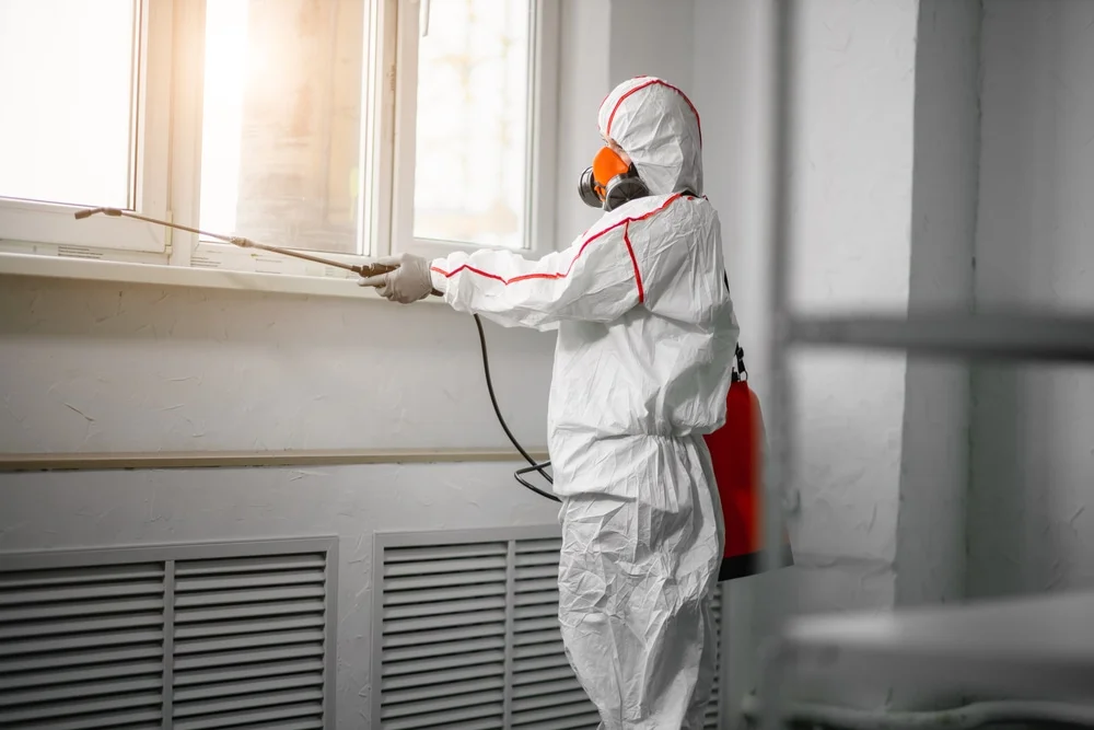 Professional mold remediation services in Seminole, AL